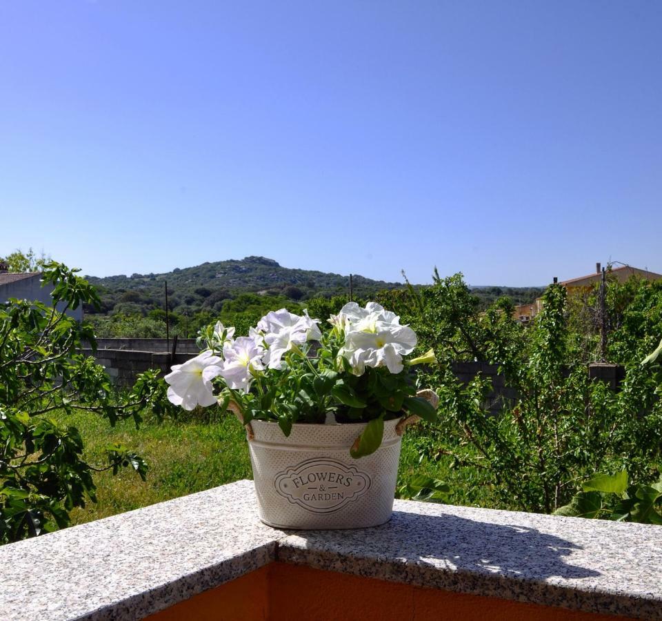 Casa Duminicheddha, Mare E Relax In Gallura Bassacutena Dış mekan fotoğraf