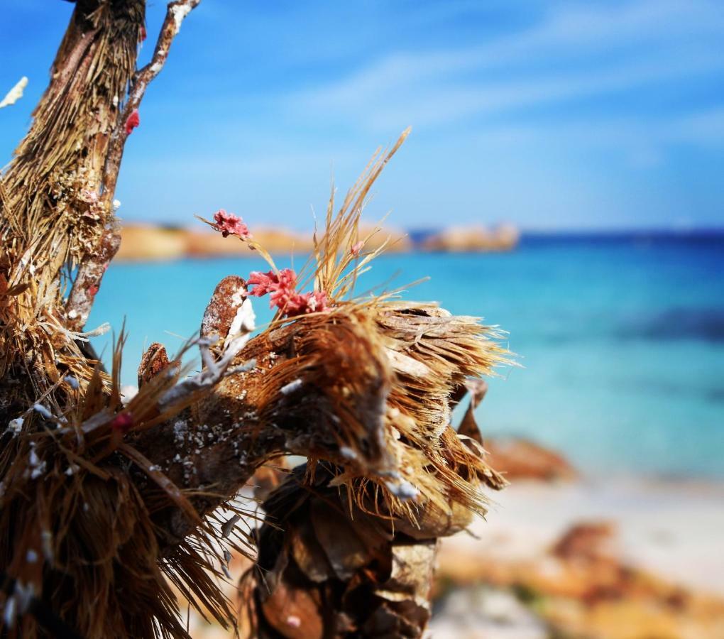Casa Duminicheddha, Mare E Relax In Gallura Bassacutena Dış mekan fotoğraf